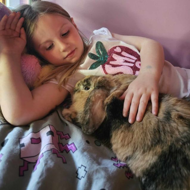 Photo of Mrs Claws (Located In Mount Evelyn)