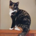 Photo of Lily