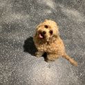 Photo of Louise