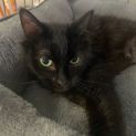 Photo of Violet 