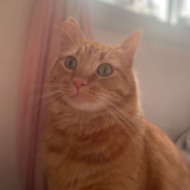 Photo of Rodney 