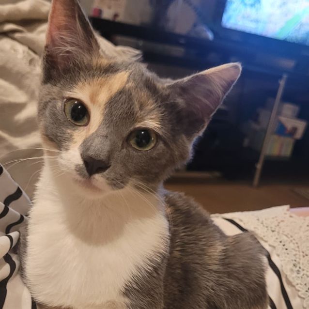 Photo of Clara