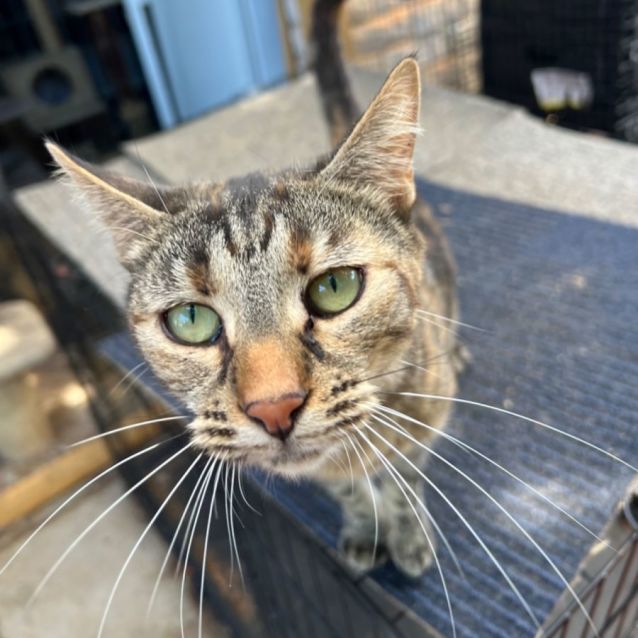 Photo of Samantha   Can Transport To You