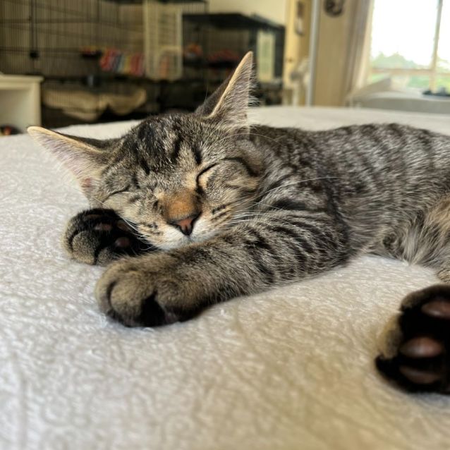 Photo of Prince Archie 💙