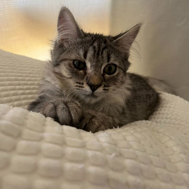 Photo of Catherine & Diana 🌹