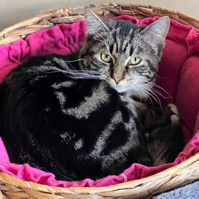 Photo of Chase   Can Deliver To You