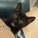 Photo of Jemima