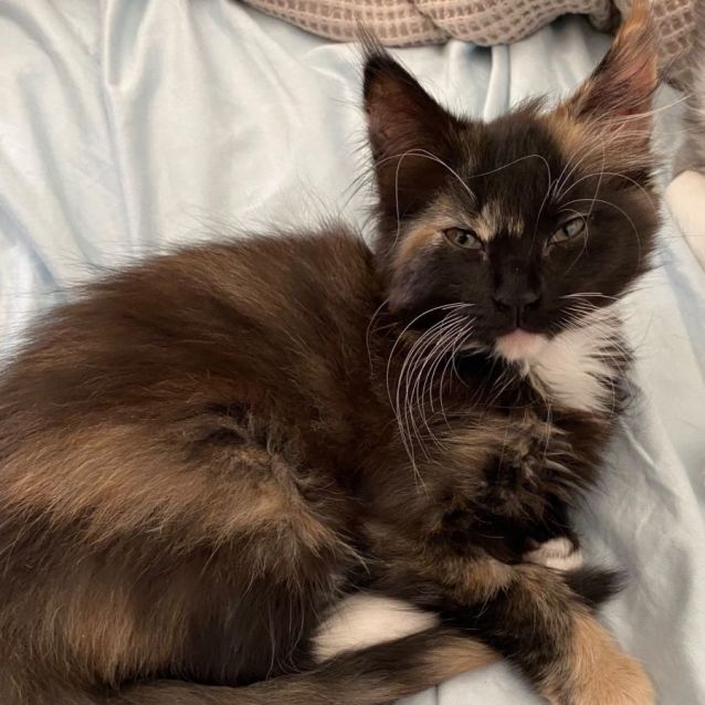 Photo of Miss Violet 