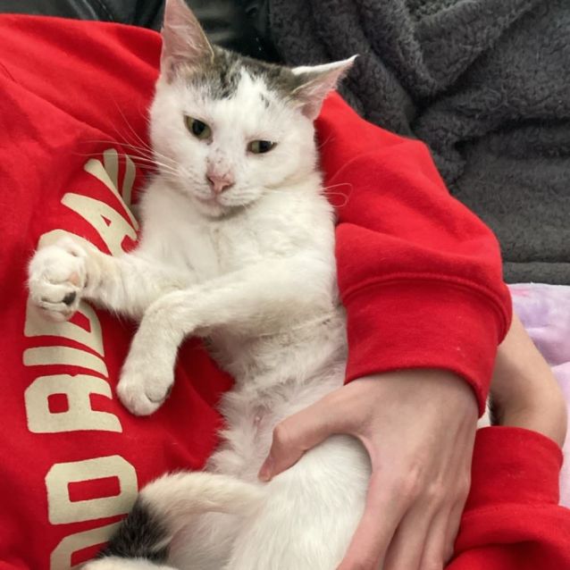 Photo of Snowy