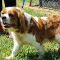 Photo of Tess