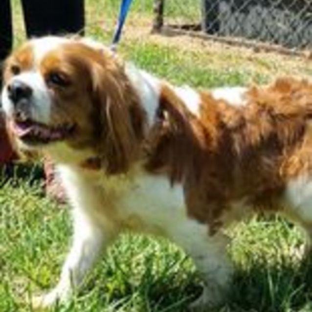 Photo of Tess