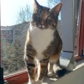 Photo of Mila