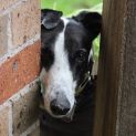 Photo of Maggie Magnolia