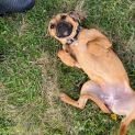 Photo of Esther