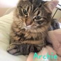Photo of Archie And Astra