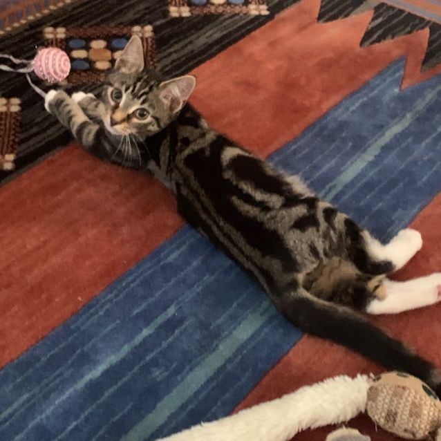 Photo of Elli May & Tinker Bell