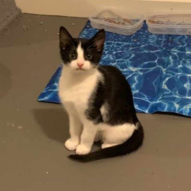 Photo of Luke   Belly Rub King