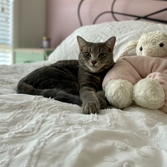 Photo of Junior & Blossom 💙🌸