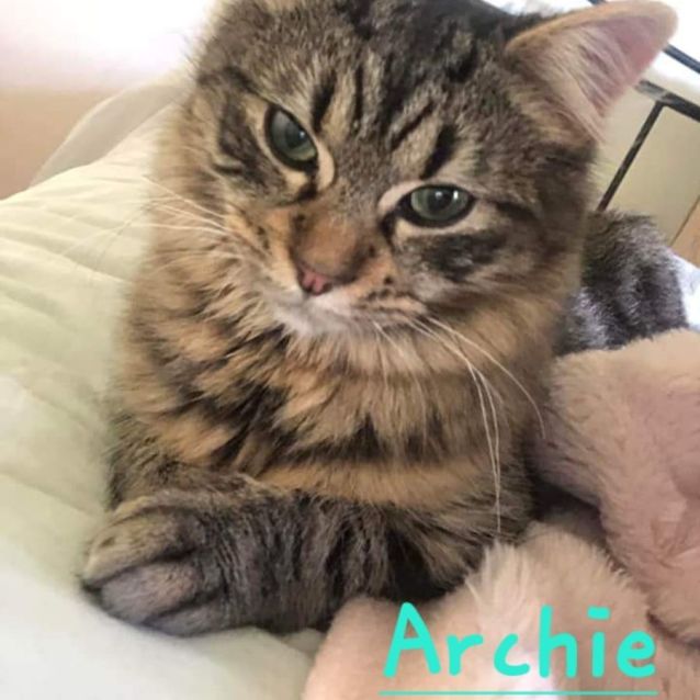 Photo of Archie And Astra 