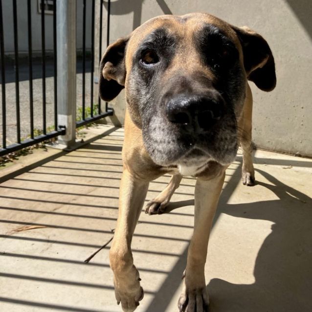 Photo of Warrior