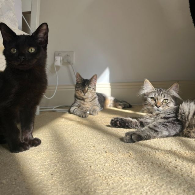 Photo of Prince Archie 💙