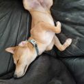 Photo of Ernie