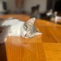 Photo of Storm