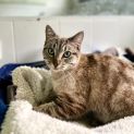 Photo of Peaches