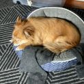 Photo of Elsie