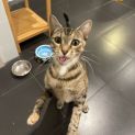 Photo of Maisy