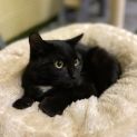 Photo of Kiki