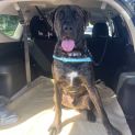 Photo of Ares