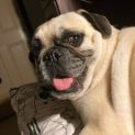 Photo of Gigi