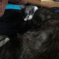 Photo of Tinky