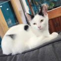 Photo of Lillian
