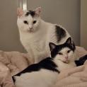 Photo of Milo & Cynthia