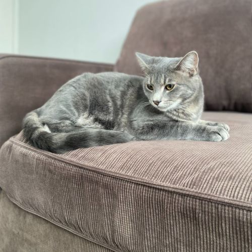 Junior & Blossom 💙🌸