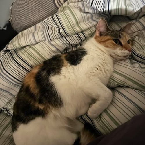 Eleanor
