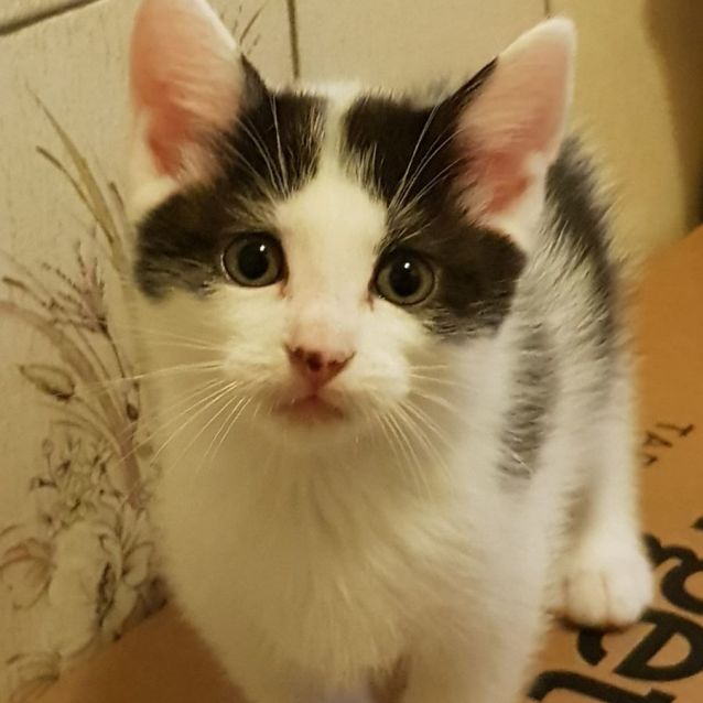 Photo of Mickey
