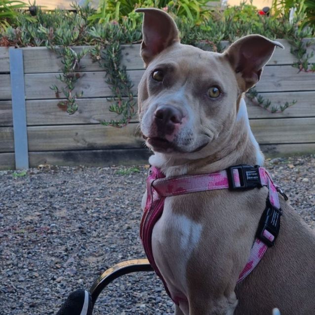 Photo of 💜Kiara💜