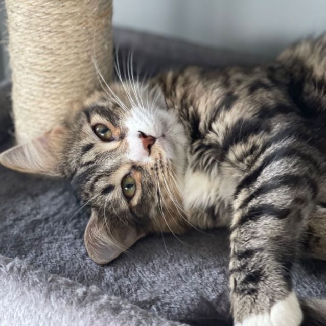 Photo of Austin 🧶