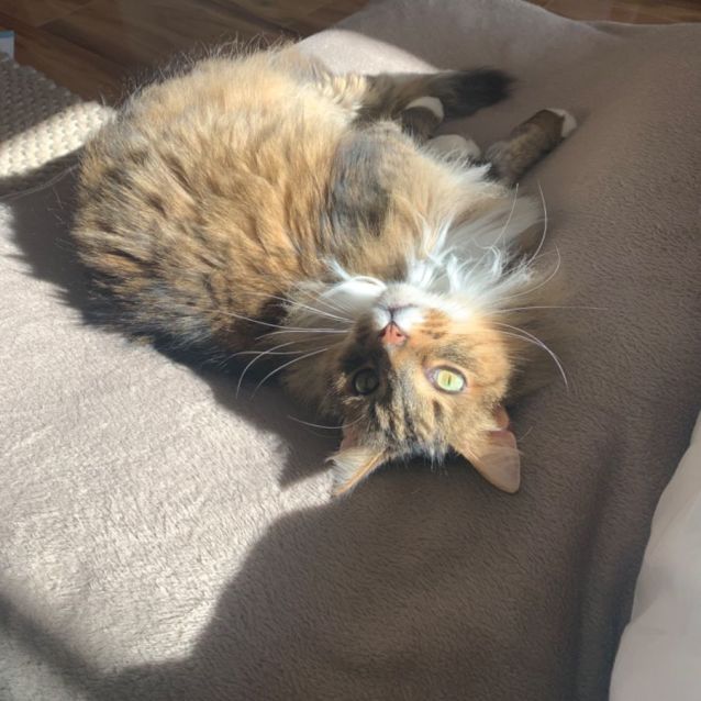 Photo of Ryan Gosling😻