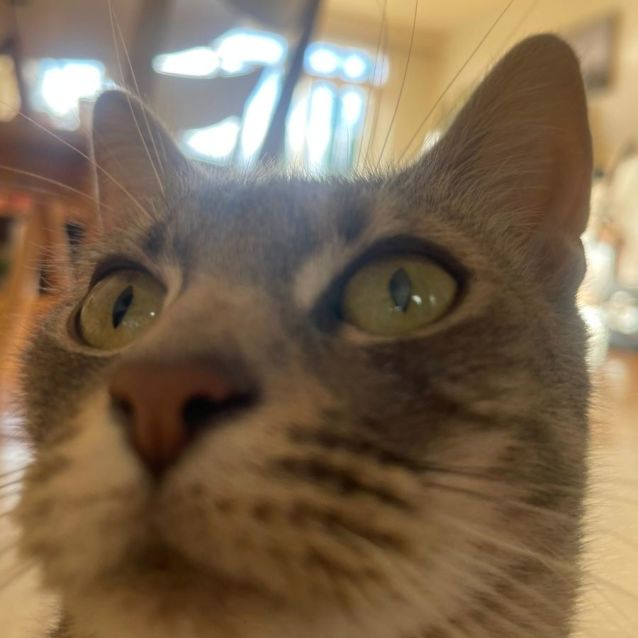 Photo of Karen