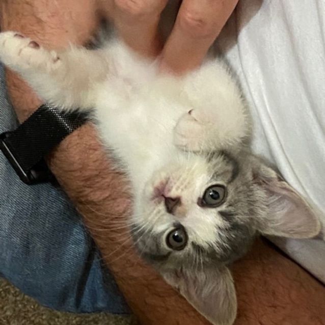 Photo of Storm