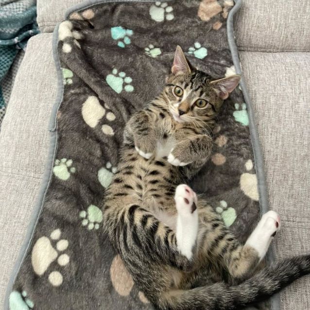 Photo of Becky Beckett 