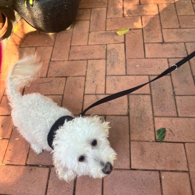 Photo of Blinky Bill