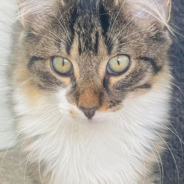 Photo of Keith   Located In Preston