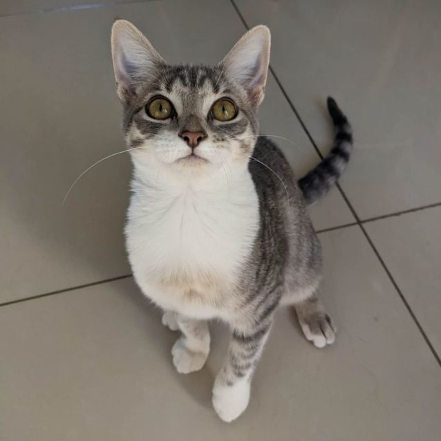 Photo of Selma & Ellie