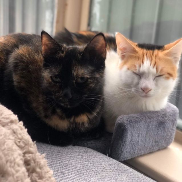 Photo of Bonnie & Delilah