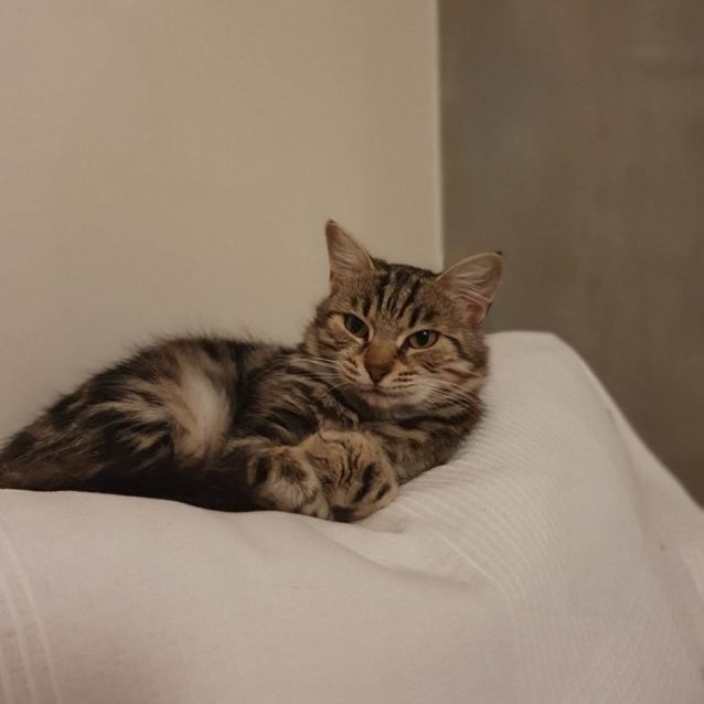 Photo of Patty 💜🌸